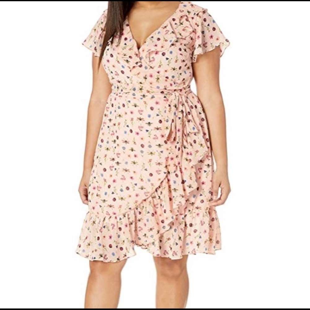 Floral Ruffle Wrap Dress - Blush Pink - Picture 3 of 8